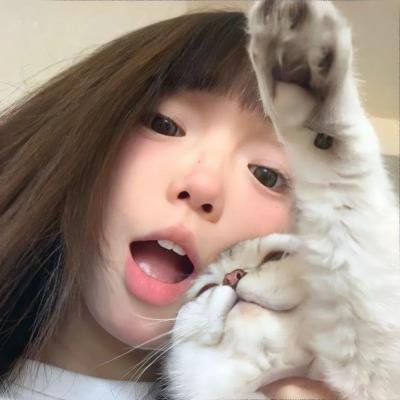 喵不可言